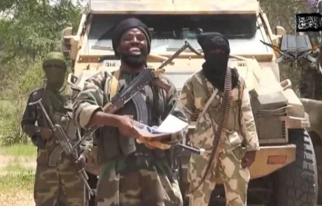 SHEKAU.webp