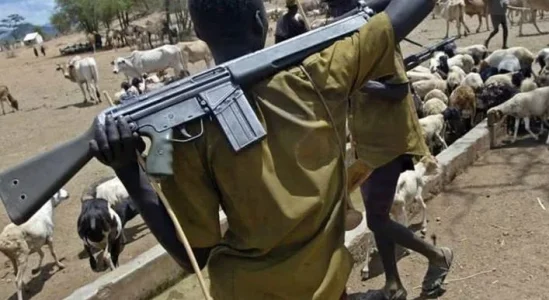 herdsmen.webp