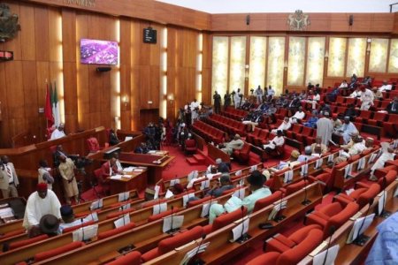 Nigeria Senate.jpg