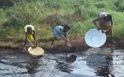 ogoni.webp