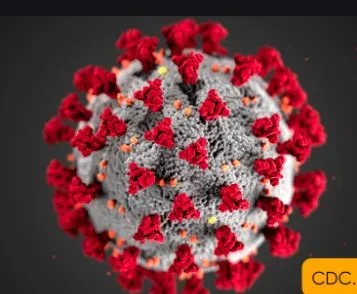 corona nn.webp