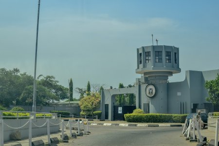 Resilient Nigerian Universities in Global Spotlight: University of Ibadan Defies Odds