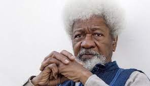 Wole Soyinka Drops the Mic: Challenges Critics to Prove Academic Record or Take the Plunge
