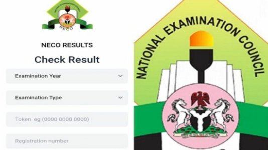 NECO 2023 Results Released: Here's How to Check Your Scores Online