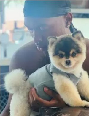 Daniel Sturridge Faces Arrest Warrant in the U.S. Over Unpaid Missing Dog Reward