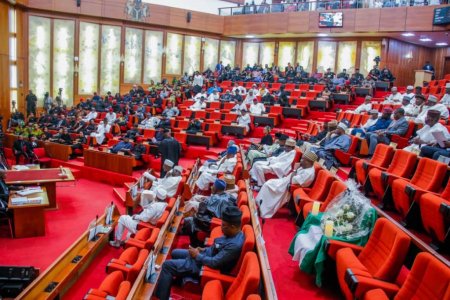 Senate Shaken as Chief Whip Ndume Stages Epic Walkout, Sparks Emergency Session