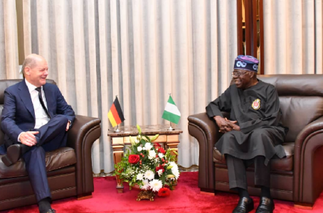 Tinubu Vows to Transform Nigeria in Talks with German Chancellor on Bilateral Cooperation