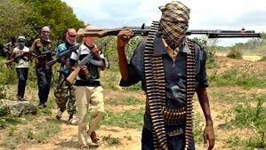 Armed Bandit Assault Claims 18 Lives as Hunters Resist Invasion in Taraba State
