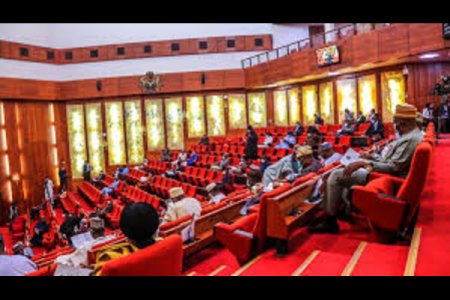 Nigeria's 2024 Budget Debate: National Assembly Contends with Lack of Details and Fiscal Priorities