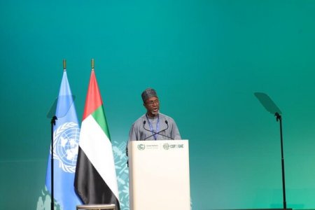 Nigeria's Minister Urges Strong Climate Action at COP28 on Behalf of Tinubu