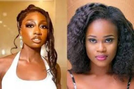 BBNaija Stars Doyin and Ceec Spark Speculation with Unfollowing Drama