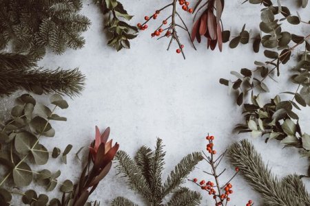 Festive Frugality: 4 Genius Hacks for an Epic Christmas Without Breaking the Bank