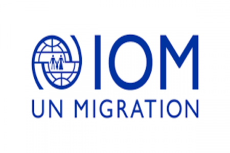 Fake Job Scam: 1,000 Nigerians Stranded in the UK, IOM Issues Warning