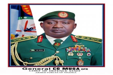 Soldiers Earn Only N1,200 Daily - Defence Chief Calls for Pay Reform