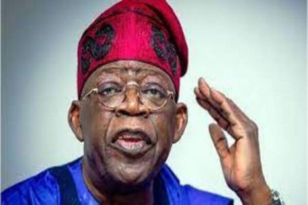 Tinubu Criticizes Fubara in Peace Meeting Over Rivers Assembly Demolition