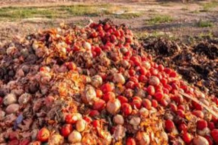 How Your Christmas Food Waste Fuels Global Warming - Climate Advocate