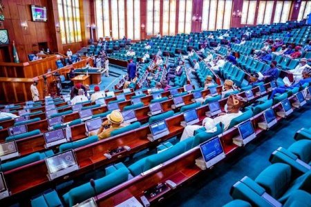 House Chairman Explains Why 2024 Budget Increased by N1.2 Trillion