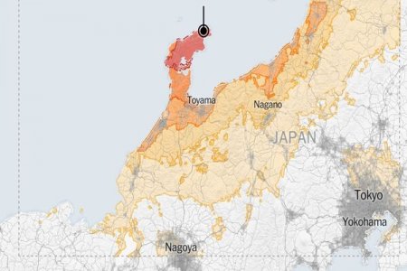 japan earthquake (1).jpeg