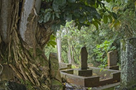 Waking The Dead: The Shocking Trend of Drug Users Smoking Bones From Cemeteries in Sierra Loane
