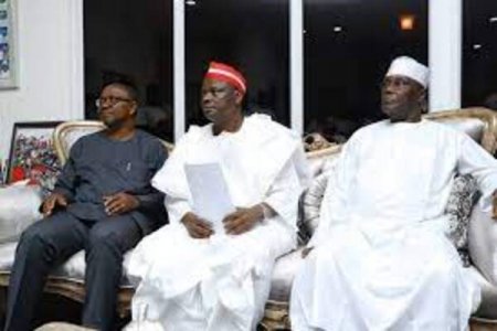 Atiku, Obi, Kwankwaso Team Up: New Mega Party Formed for 2027 Election, Says Prof. Pat Utomi