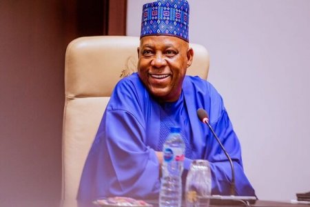 VP Shettima Advocates 'Nigerian Dream' in Davos per Tinubu's Mandate