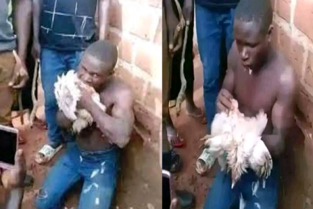 Forced to Eat Stolen Chicken in Pumula Suburb Amidst 'January Disease' Struggles