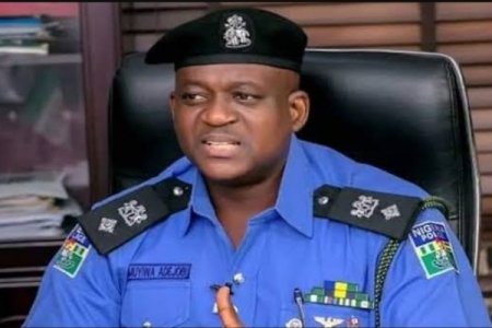 [VIDEO] Nigerians Express Outrage as Police Spokesperson, Adejobi, Denies Kidnapping Surge, Citing Topography