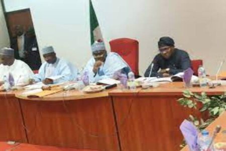 Businesses Face Uncertainty as Senate Mulls Customs Revenue Boost to Tackle Debt