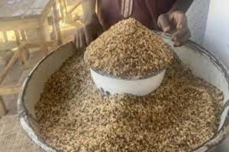 Soaring Living Costs Drive Nigerians to Embrace Resilient 'Battle Rice,' Formerly Used for Fish Feed, for Sustenance