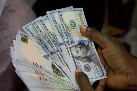 Naira Nosedive: Closes Week at N1,537, Defying Central Bank Measures