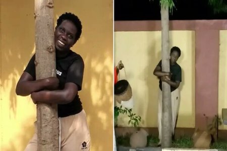 16 Hours of Dedication: Ugandan Activist Faith Ariokot Hugs Tree, Breaks World Record
