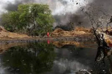oil spillage (1).webp