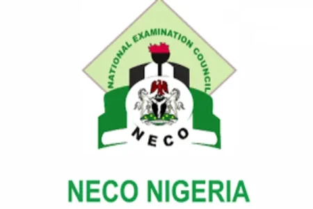 neco (1).webp