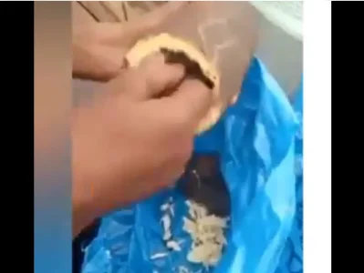 drugs in yam.png drugs in yam.png