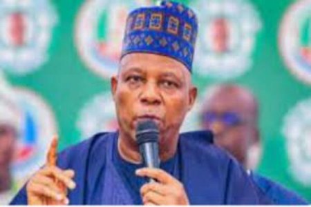 Nigerians Reject VP Shettima's Call for Maturity Amid Economic Struggles