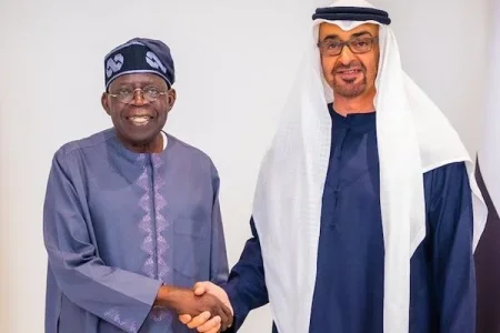 Tinubu-and-UAE-president (1).webp