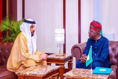Furious Nigerians Slam Tinubu's Spokesperson for Misleading Announcement on UAE Visa Ban