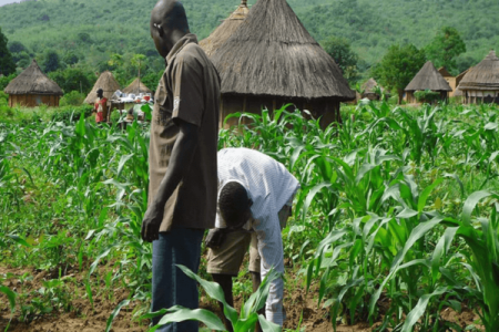 Nigerians Call for Stringent Measures as Northern Farmers Are Forced to Pay Bandits Up to N100,000 for Permission to Farm