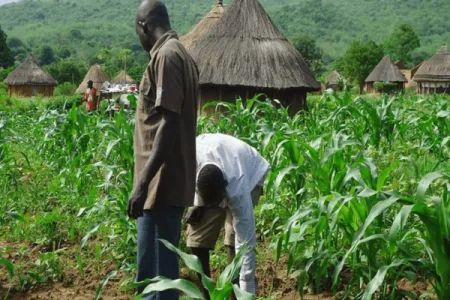 northern farmers (1).png