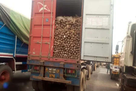 food smuggling (1).jpeg
