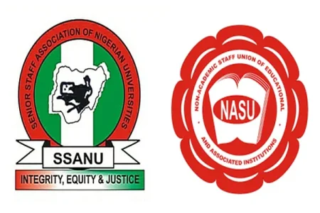 ssanu (1).webp