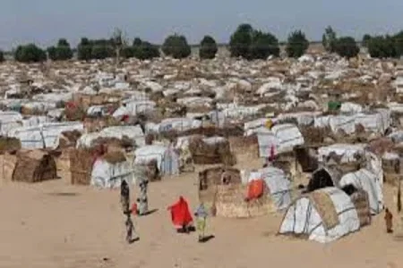 IDP CAMP (1).webp
