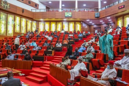 Nigerians Label the Senate as a Criminal Enterprise as N500 Million Scandal Blows Up