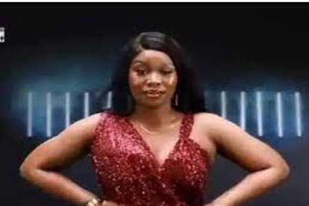 Social Media Erupts as BBNaija Alumna Rachel Urges Women to Aim Higher Than N800,000 Earning Men in Tinubus Economy