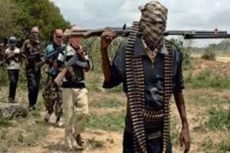 Nigerian Security: Kaduna Kidnappers Send Chilling Message Demanding N1billion, Threaten to Kill Children in 20 Days