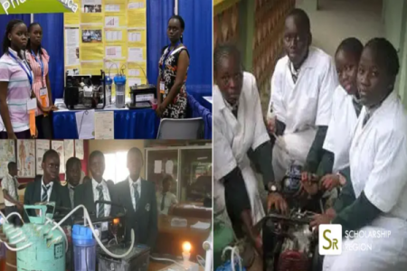 From School Project to National Sensation: Nigerian Teens' Urine Generator Goes Viral, Nigerians Proudly Applaud Their Success