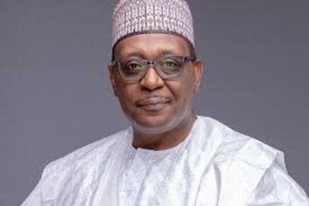 Nigerians Outraged Over Reported Misappropriation of $300 Million Antimalaria Fund - Perm Sec and Minister Summoned by Reps
