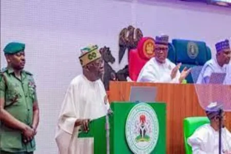 national assembly (1).webp