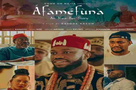 8 Things Nigerians Should Know About the Movie "Afamefuna: The Nwa Boi Story" on Netflix