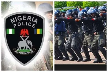 Police (1).webp
